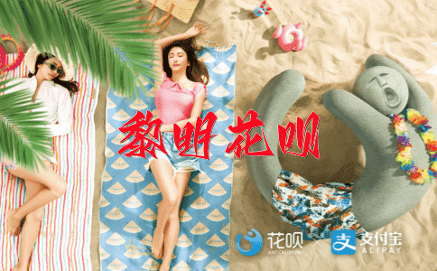 力满胸怀花呗